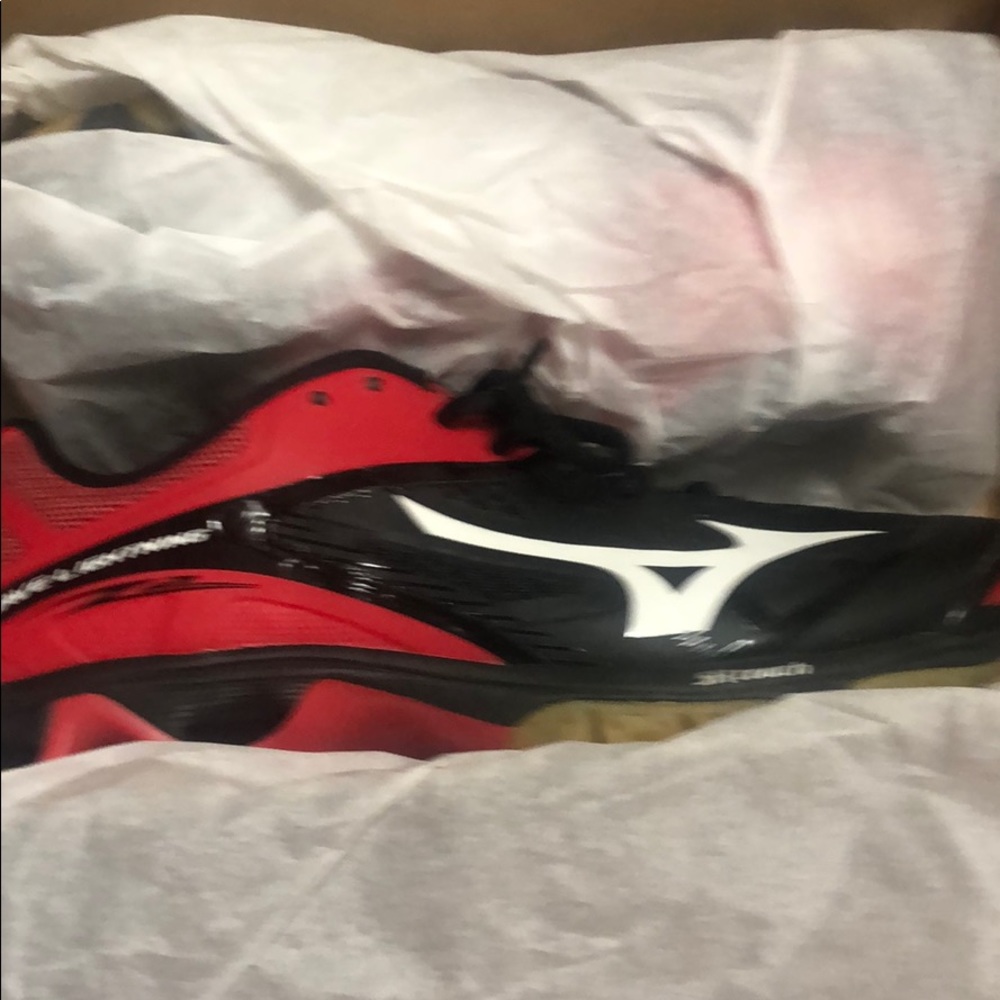 Mizuno Volleyball Shoes